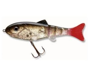 CORMORAN CORA Z BULLY - Carpfishingbarato CHIMBOMBO SEÑUELO