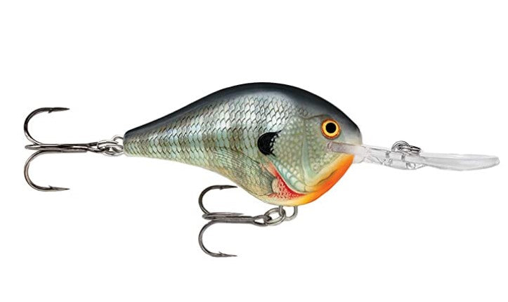 RAPALA DT 16 BLUEGILL - Carpfishingbarato CHIMBOMBO SEÑUELO