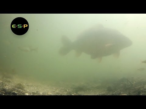 Hilo Bajo Esp Choddy Silt Tungsten Loaded Soft 20lb+9.1kg