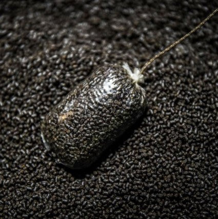 SHIMANO BAIT ISOLATE PELLET HP 16MM 900G - Carpfishingbarato CHIMBOMBO PELLETS